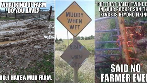 farming memes funny|27 Hilarious Farm Memes That’ll Make You  .